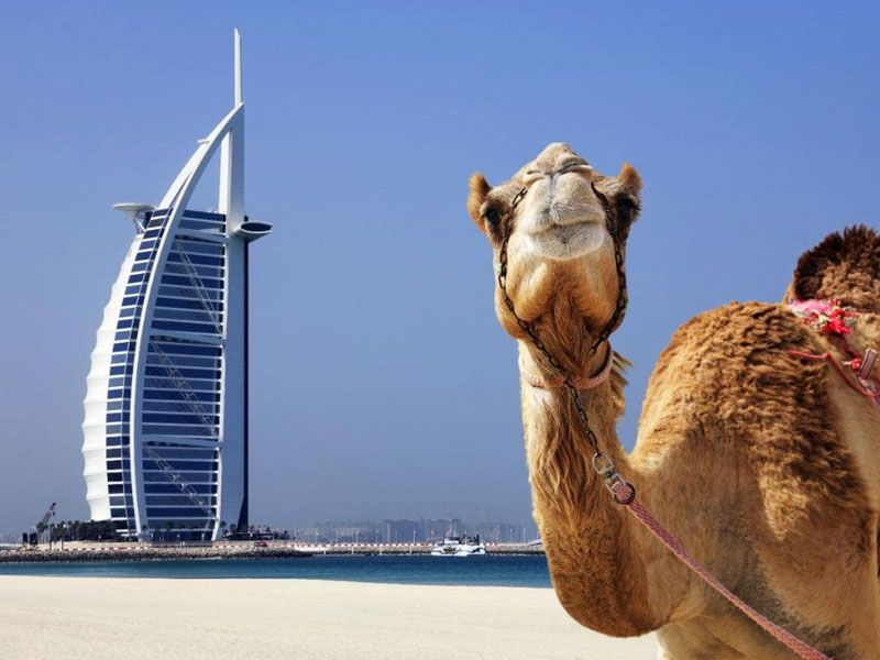 Dubai - Abu Dhabi Turu